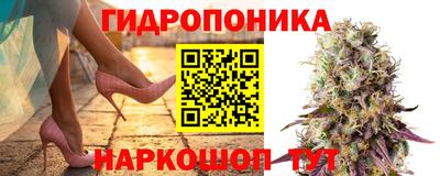 прущие грибы Рязань