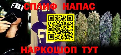 прущие грибы Рязань