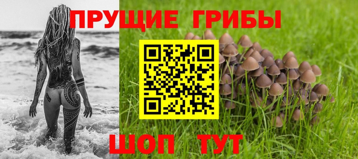Псилоцибиновые грибы мицелий  где найти наркотики  Саратов  Вход с VPN 