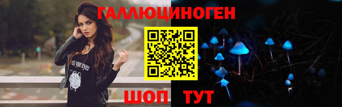 Псилоцибиновые грибы Cubensis Саратов